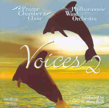 Voices #2 - hier klicken
