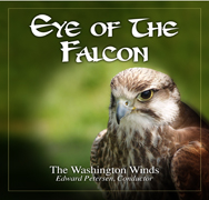 Eye of the Falcon - hier klicken