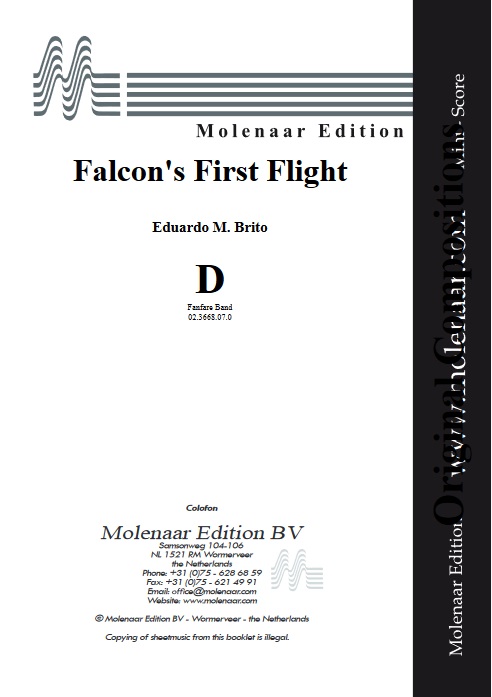 Falcon's First Flight - hier klicken