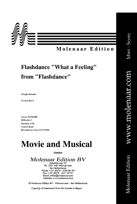 Flashdance� What a Feeling - hier klicken