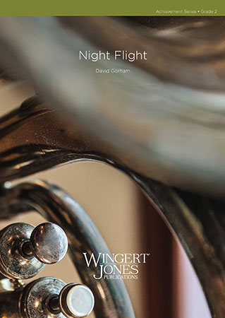 Night Flight - hier klicken