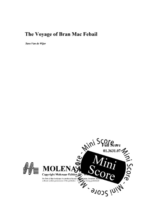 Voyage of Bran Mac Febail, The - hier klicken
