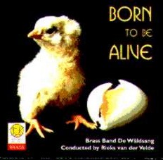 Born to be Alive - hier klicken