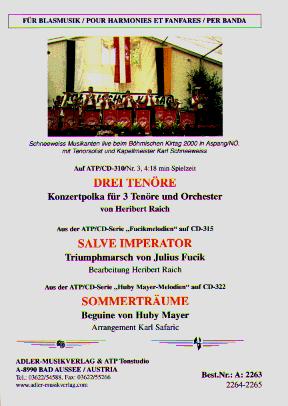 Sommertr�ume - hier klicken