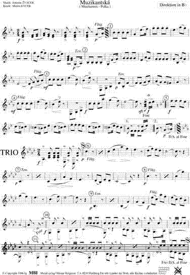 Muzikantska (Musikanten Polka) - Notenbeispiel